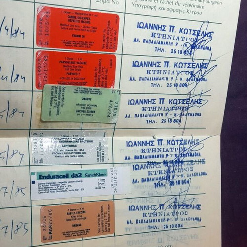 Athens Vintage Dog Vaccination Certificate 1988 like new