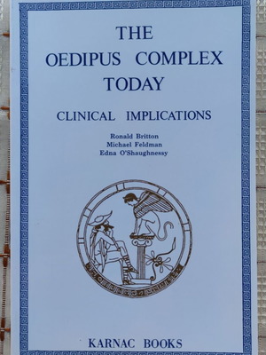 The Oedipus Complex Today used book in English