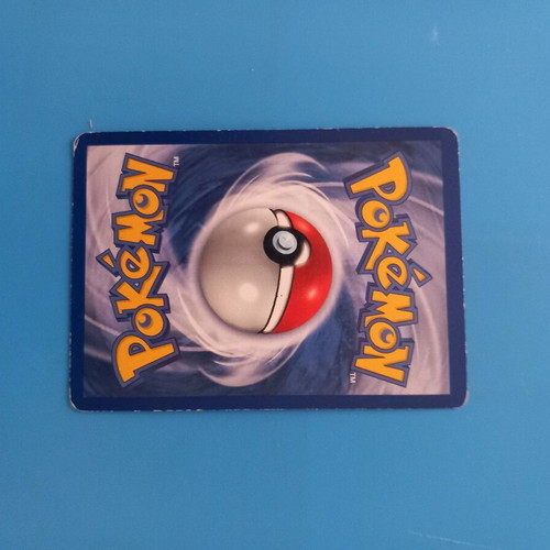 Charmeleon 24/102 collectible Pokémon card new
