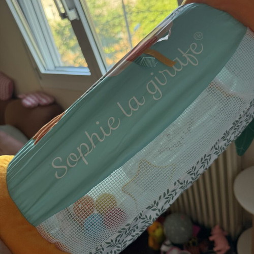 Sophie inflatable giraffe cylinder like new sensory baby toy