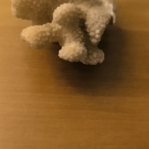 Cauliflower Coral used, natural beige for decoration or aquariums