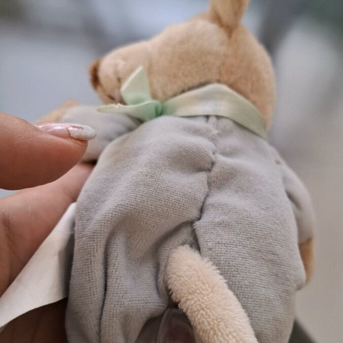 Bear Rattle used, teether for 18+ months