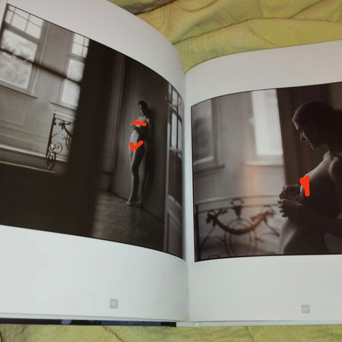 Les 20 meilleurs photographes de nu book like new, French