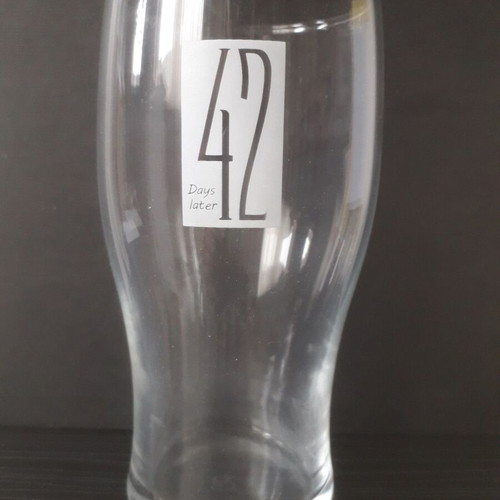 Craft Beer Glass "42 days later" like new