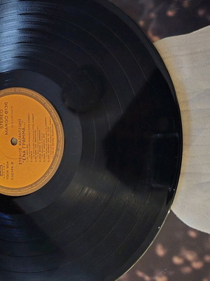 Vinyl record used