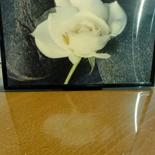 Set of frames with 3d rose image and used frame