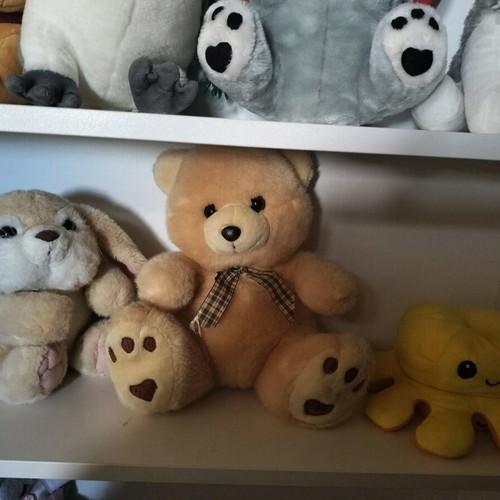 Teddy bears used