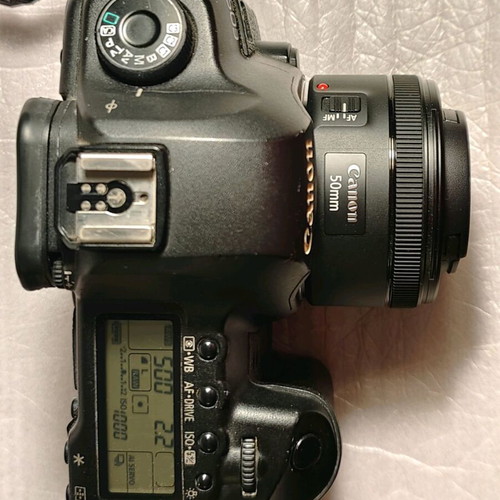 Canon 5D Mark II camera and EF 50mm f/1.8 STM lens used
