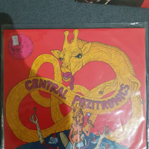 Central Pozitronics vinyl record new