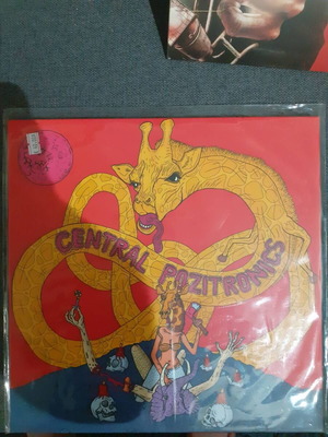 Central Pozitronics vinyl record new