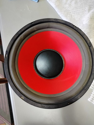 12-inch subwoofer with cast basket and strong magnet