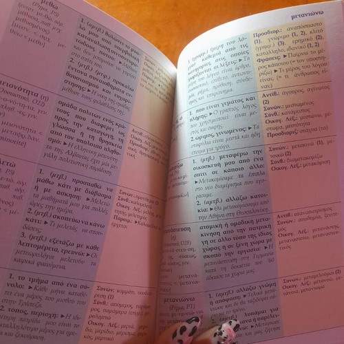 Dictionary for elementary school children with notes