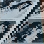 Λεύκωμα Τζένη Καρέζη - Μάκης Δελαπόρτας - Άγκυρα 2003