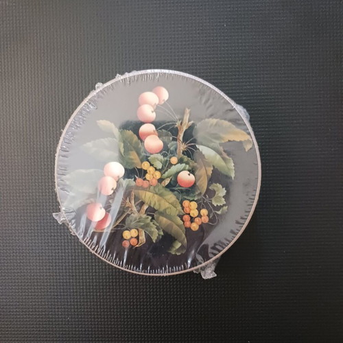 Coasters set of 6 new