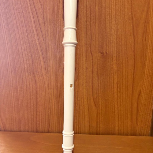Plastic Recorder New