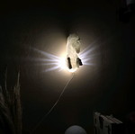 3d printed Pegasus Lamp