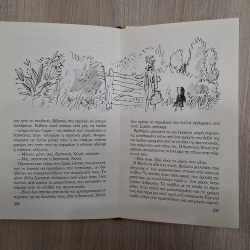 Set of 2 children’s books Matilda and Without Family like new