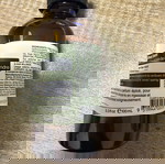  Aesop body