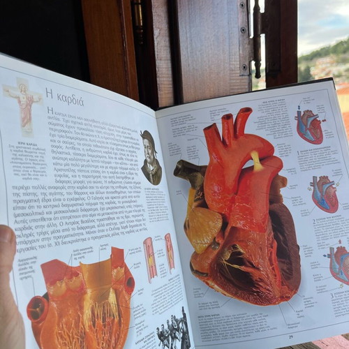 Human Body Book like new for children