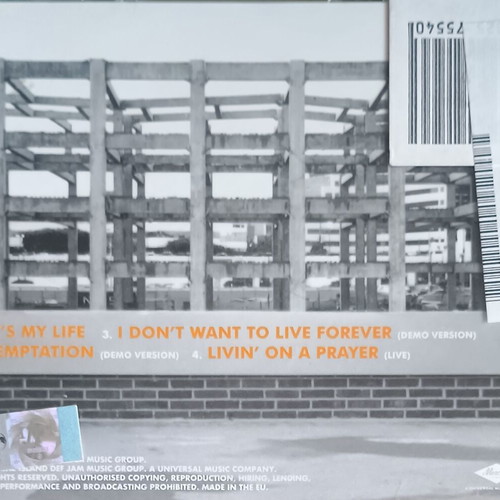 Bon Jovi It's My Life CD used, rock