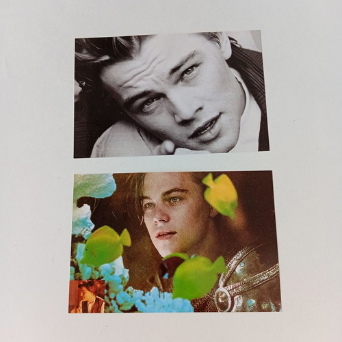 Leonardo Di Caprio cards set of 2, new