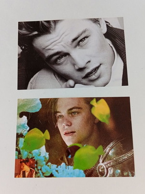 Leonardo Di Caprio cards set of 2, new