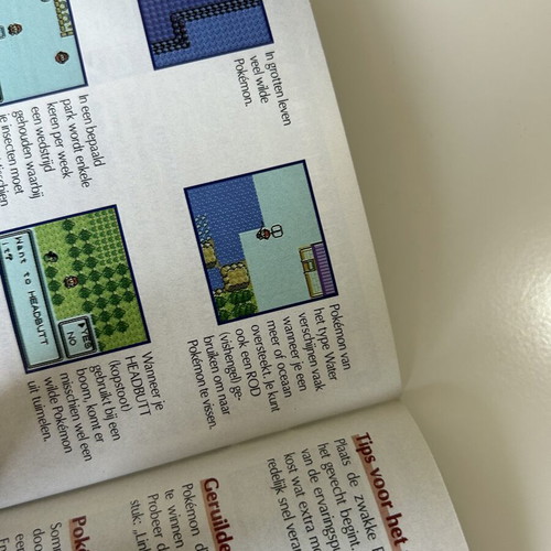 Pokemon Silver Trainer's Guide