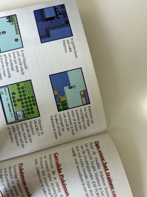 Pokemon Silver Trainer's Guide
