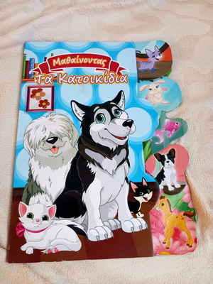 Children's book Learning about Pets like new