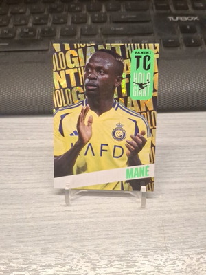 Panini Top Class 2025 Sadio Mane Holo Giant card new