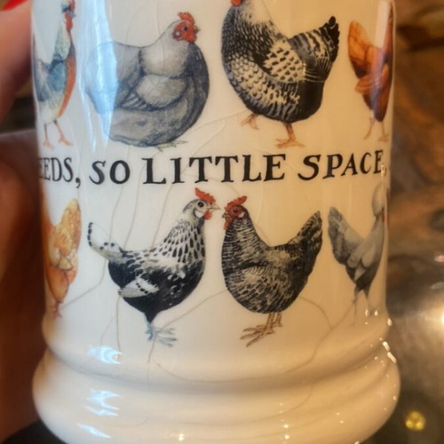 Britain cup used with chickens design