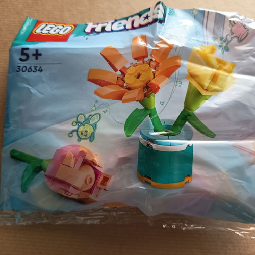Lego Friends 30634 Friendship Flowers complete set like new