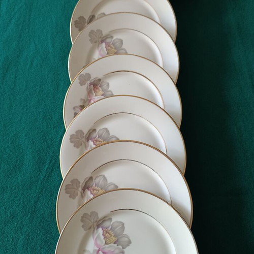 Vintage Rosenthal dessert set like new, 6 small and 1 large plate