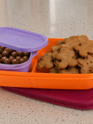 Tupperware food container with divider 590ml and mini 120ml new