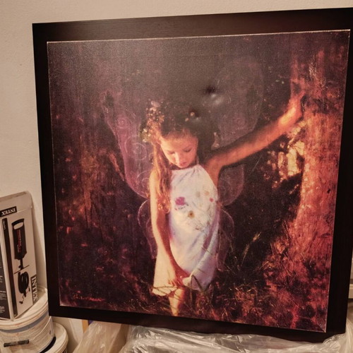 Bizart painting used with fairy girl