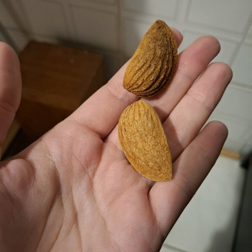 Thessaly Almonds New