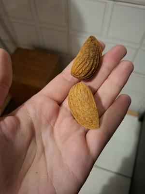 Thessaly Almonds New