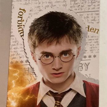 Harry Potter Magical Creatures Store Display bookshelf like new