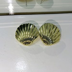 Women's earrings new, gold flat shell shape