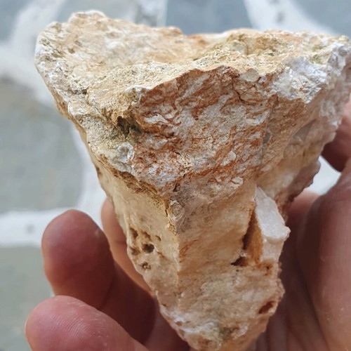 Fossilized coral like new, Greek collectible