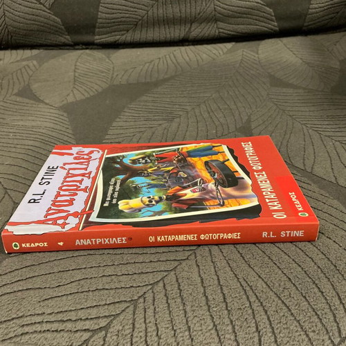 Goosebumps No 4 The Cursed Photos book used