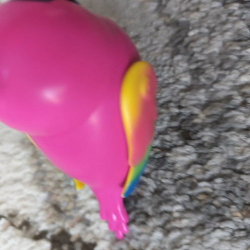 Little Live Pet Cocorito bird used interactive toy