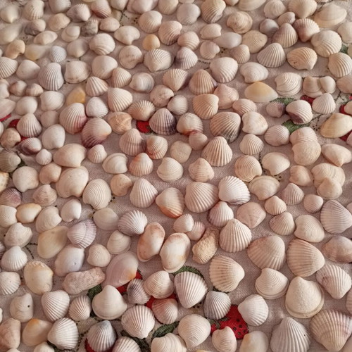 Sea decorative elements like new for crafts and home decoration