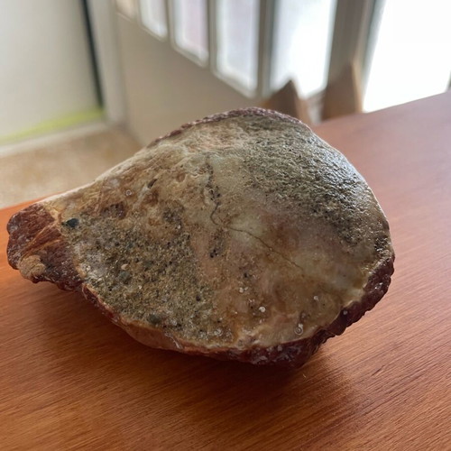 Conglomerate rock new with natural pebbles