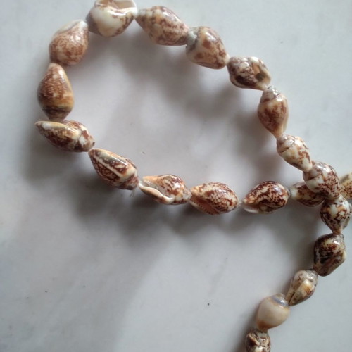 Shell necklace used, large size with knot