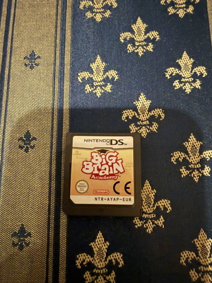Big Brain DS game used, very good condition