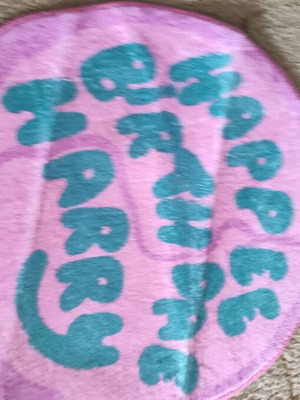 Harry Potter small rug like new
