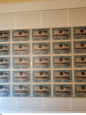 Turkey 1920 stamp blocks, 2 pieces with error, new