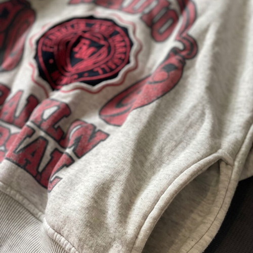 Franklin & Marshall sweatshirt size S used, gray with hood and pockets