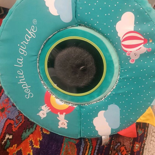 Sophie la girafe polymorphic wheel like new